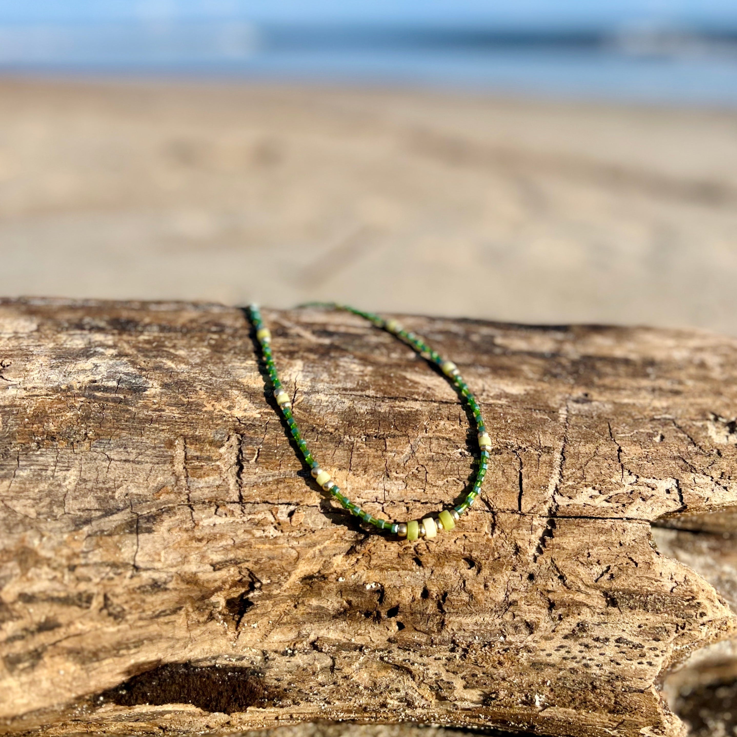 Dune Grass